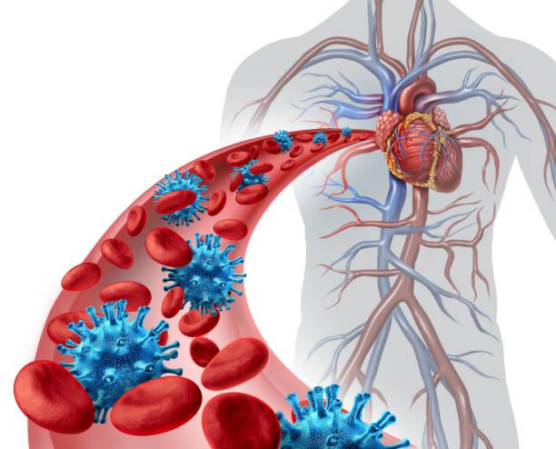 PHOTO-2026-02-19-12-50-08