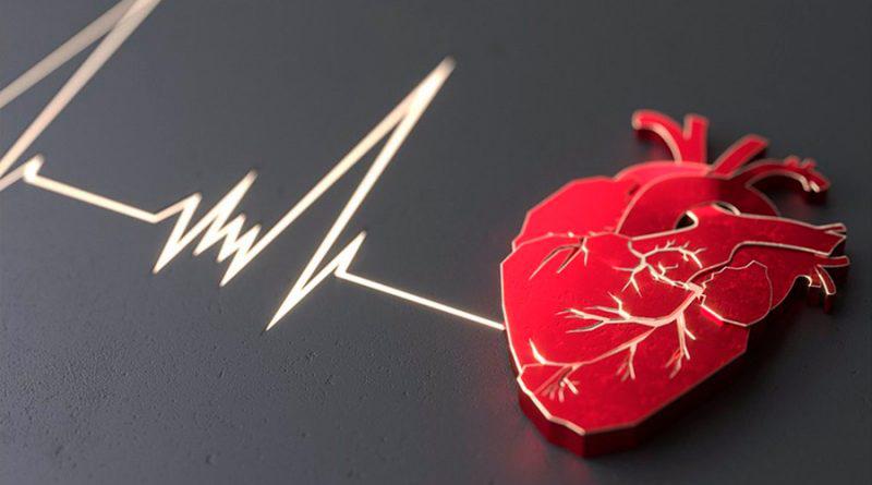 PHOTO-2026-02-19-12-50-21