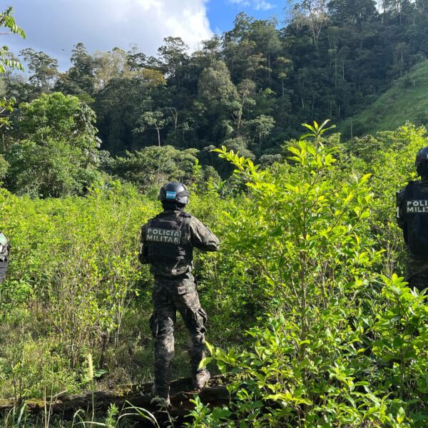 Las FFAA logran golpe récord: 180 mil arbustos de coca asegurados en lo que va de 2026.