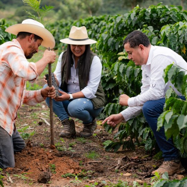 Nestlé planta más de 2 millones de árboles en Centroamérica para frenar la deforestación.