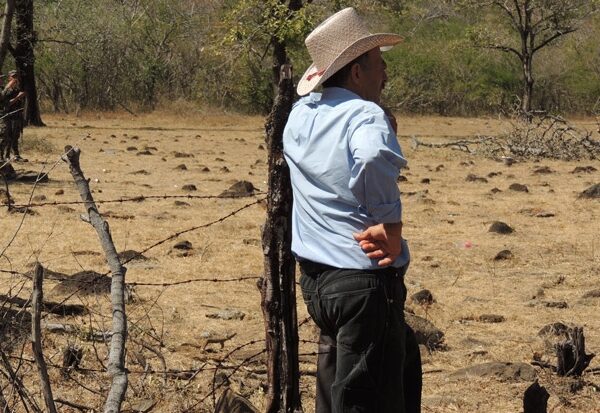 AMENAZA DE «SÚPER NIÑO» PONDRÁ EN RIESGO AGUA, ENERGÍA Y CULTIVOS EN HONDURAS